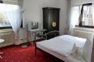 Geissler 3*