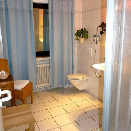 Geissler 3*